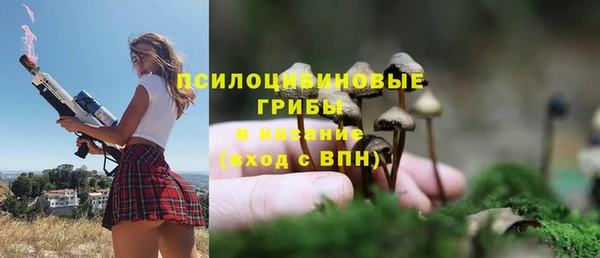амф Балахна