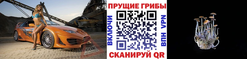 Галлюциногенные грибы GOLDEN TEACHER  купить   Тихвин 